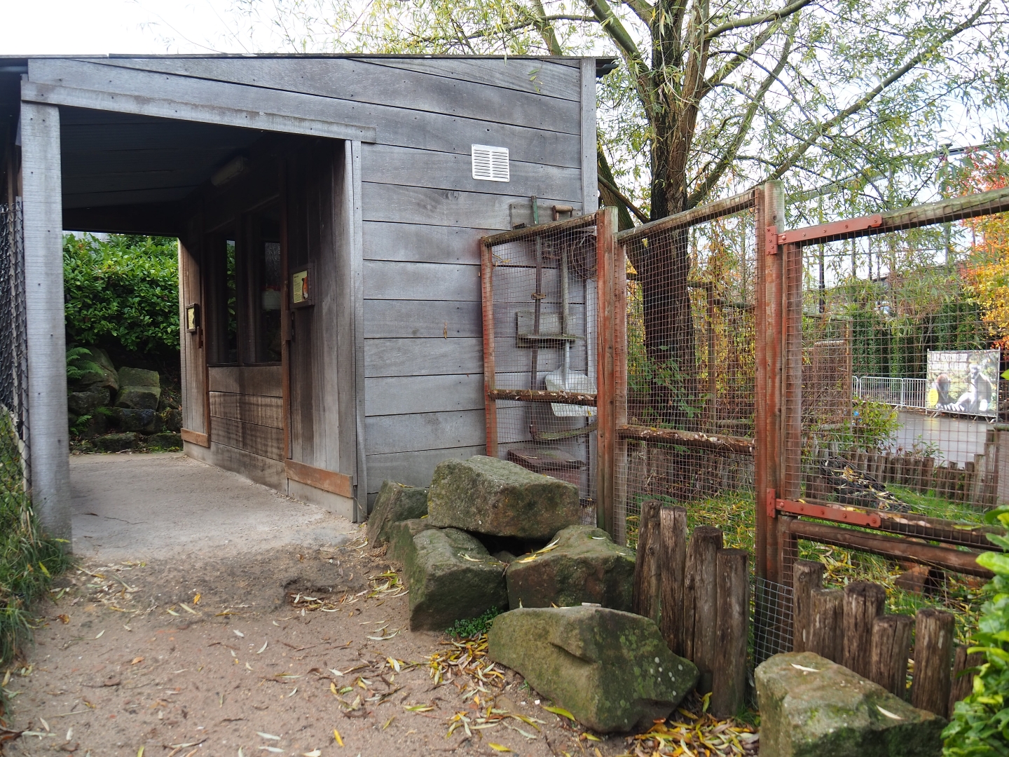 Guinea pig shack (Nov 10th, 2018)