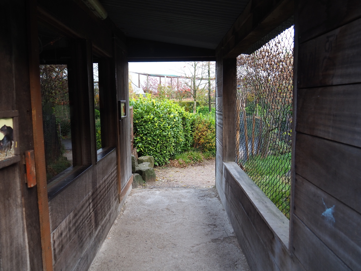 Guinea pig shack passage (Nov 10th, 2018)