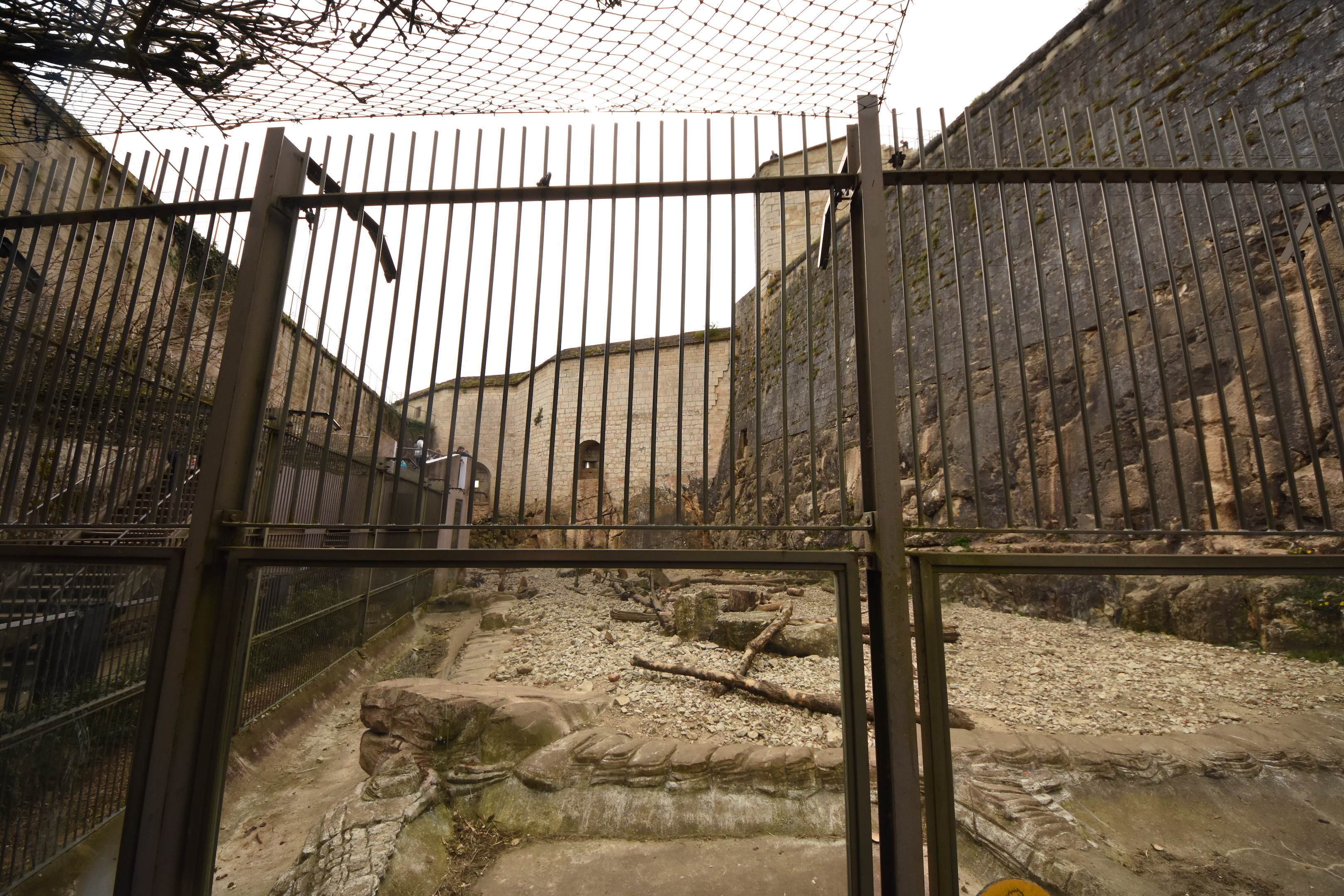 Guinean baboon enclosure