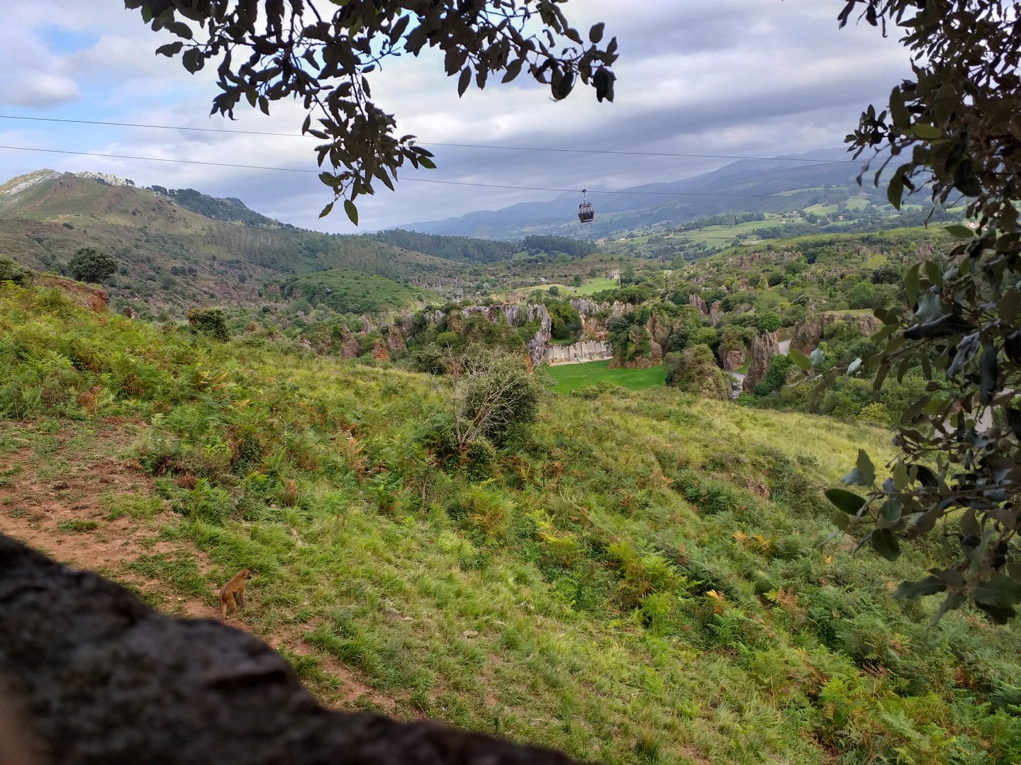 Guinean baboon exhibit with the lion exhibit in the back-Cabarceno (2019)
