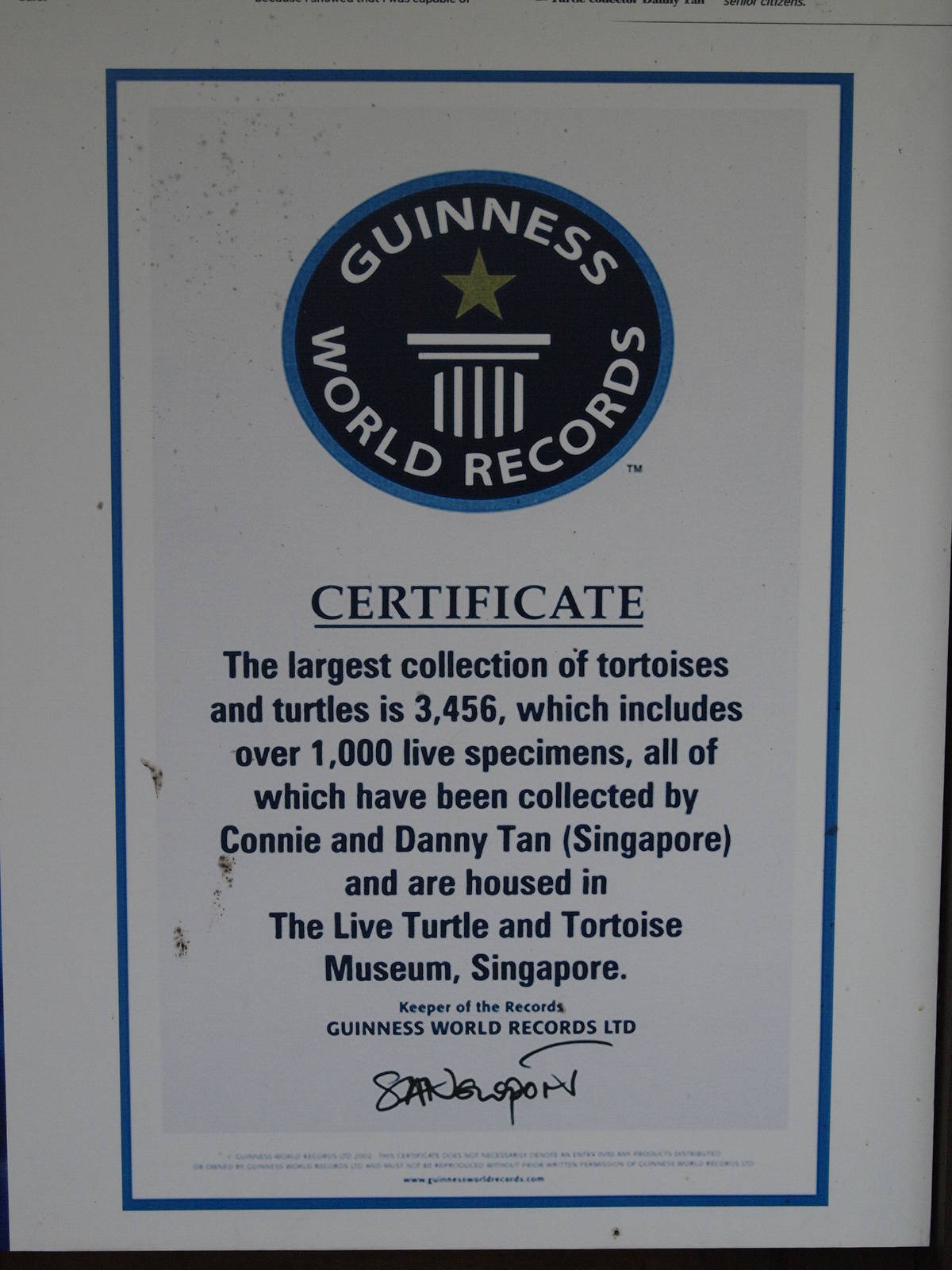Guinness world record certificate