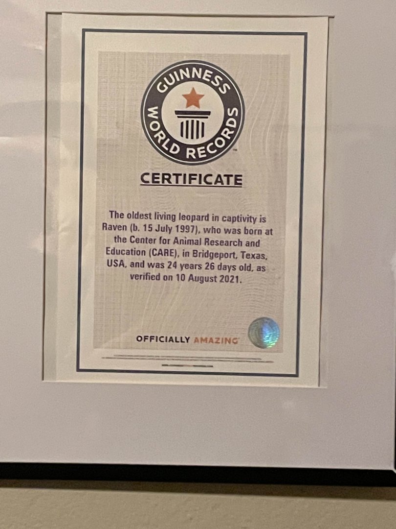 Guinness World Record Plaque for Raven