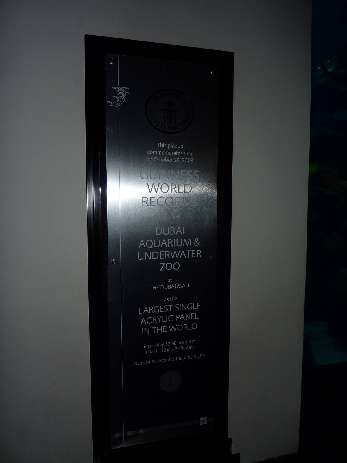 Guinness world record