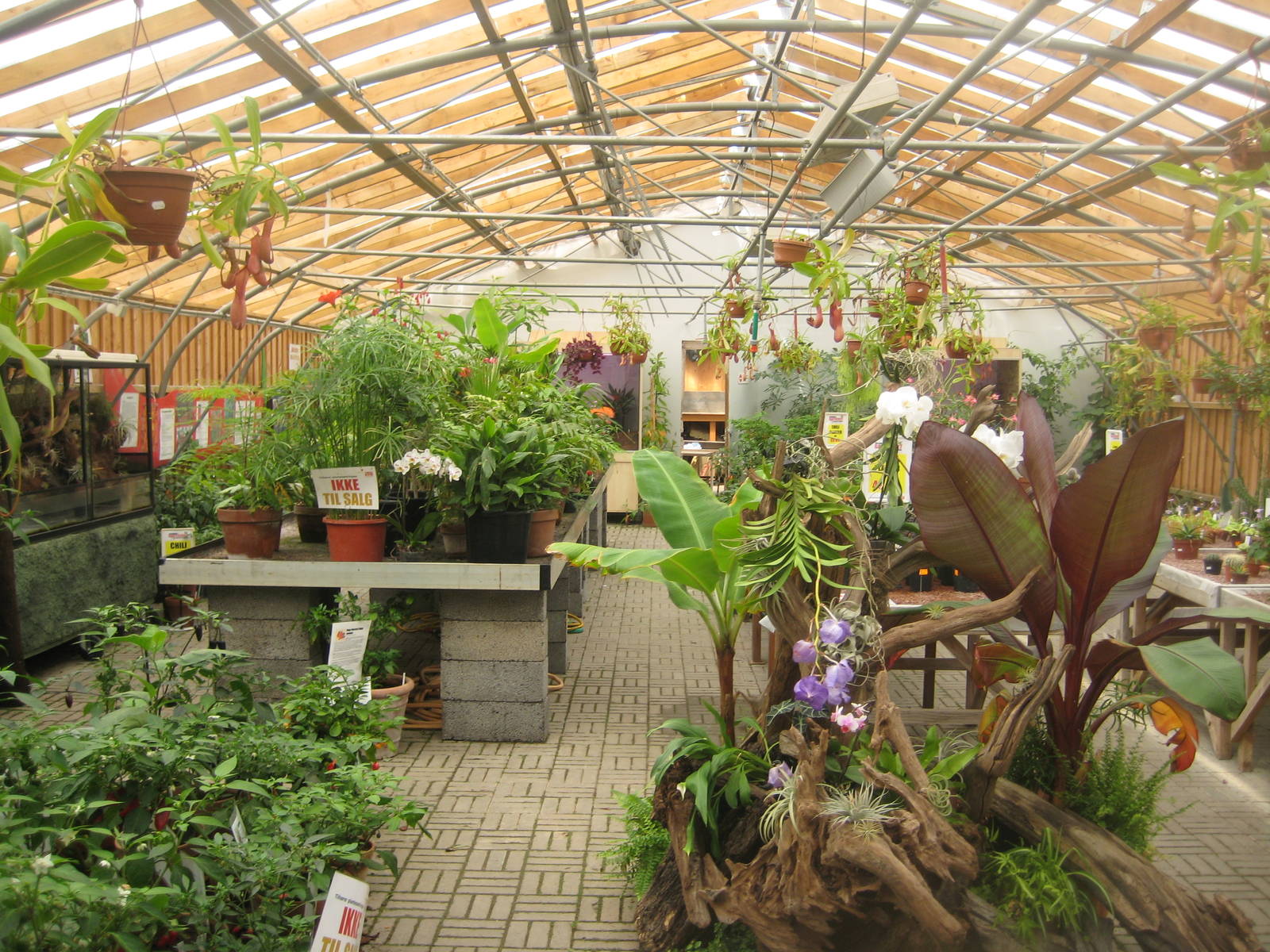 Guldborgsund Zoo - greenhouse