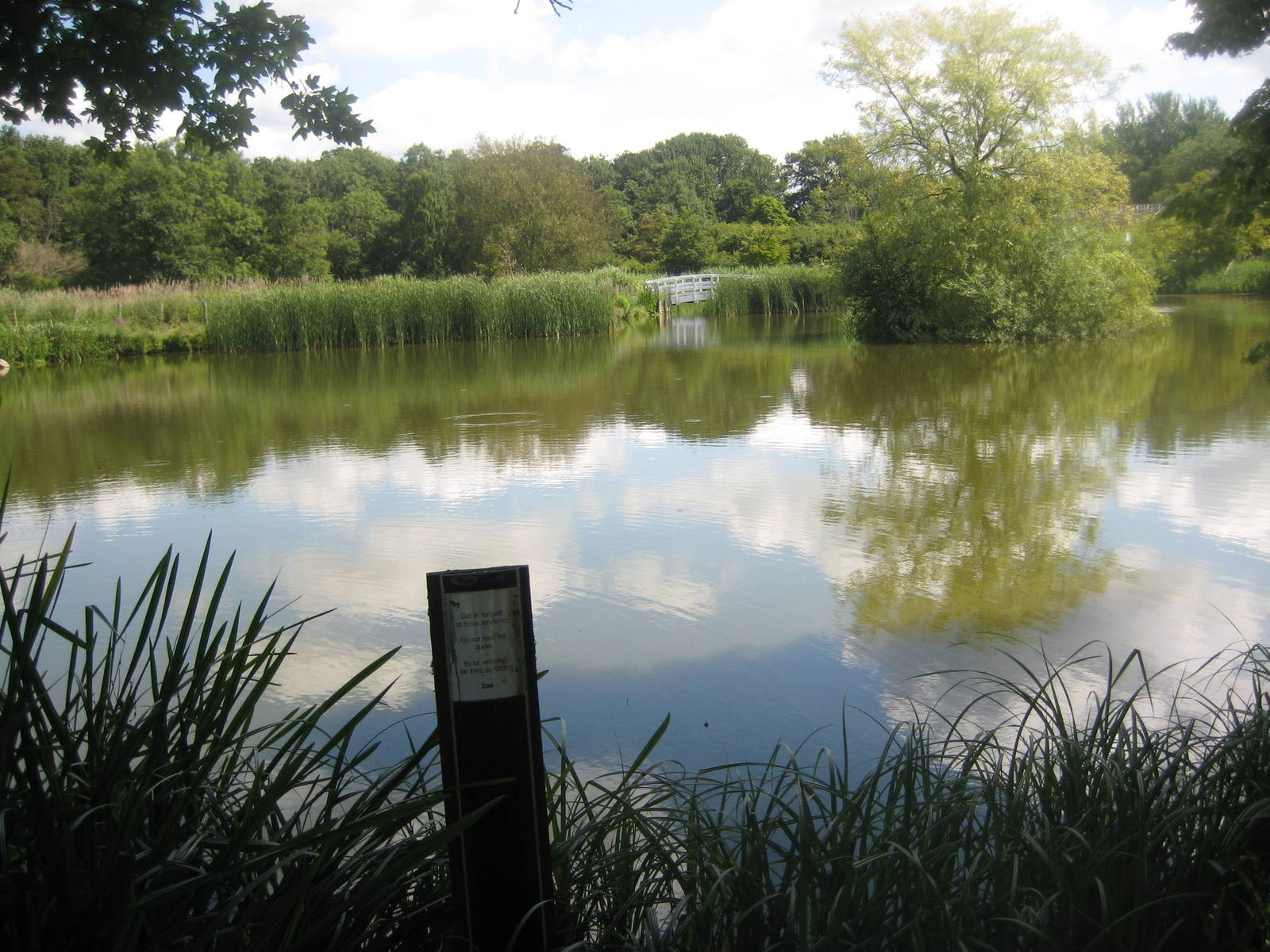 Guldborgsund Zoo - lake