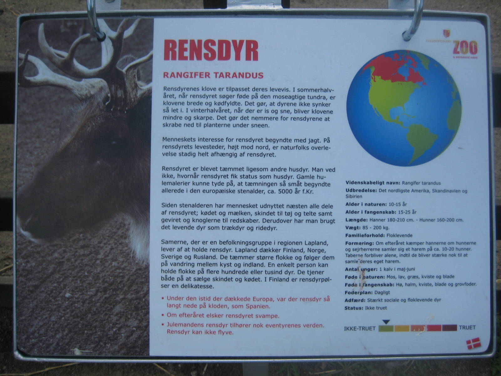 Guldborgsund Zoo - signage example for reindeer