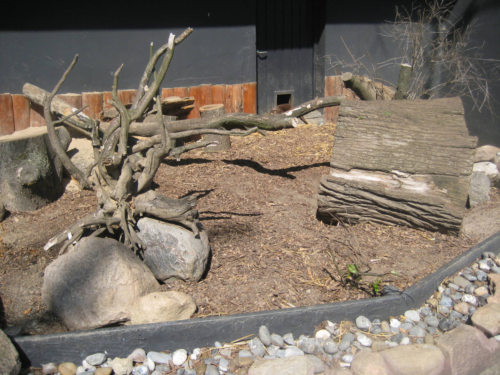 Guldborgsund Zoo - small-clawed otter exhibit
