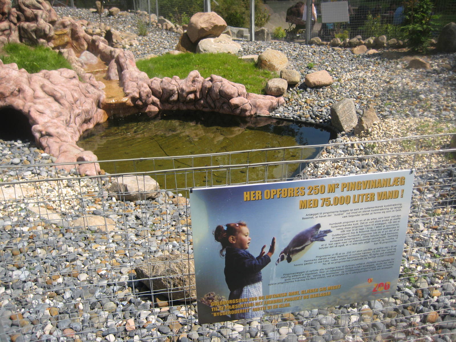 Guldborgsund Zoo - upcoming penguin exhibit