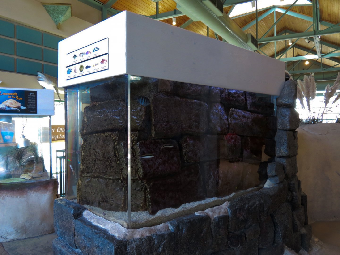 Gulf Coast - Jetty Exhibit