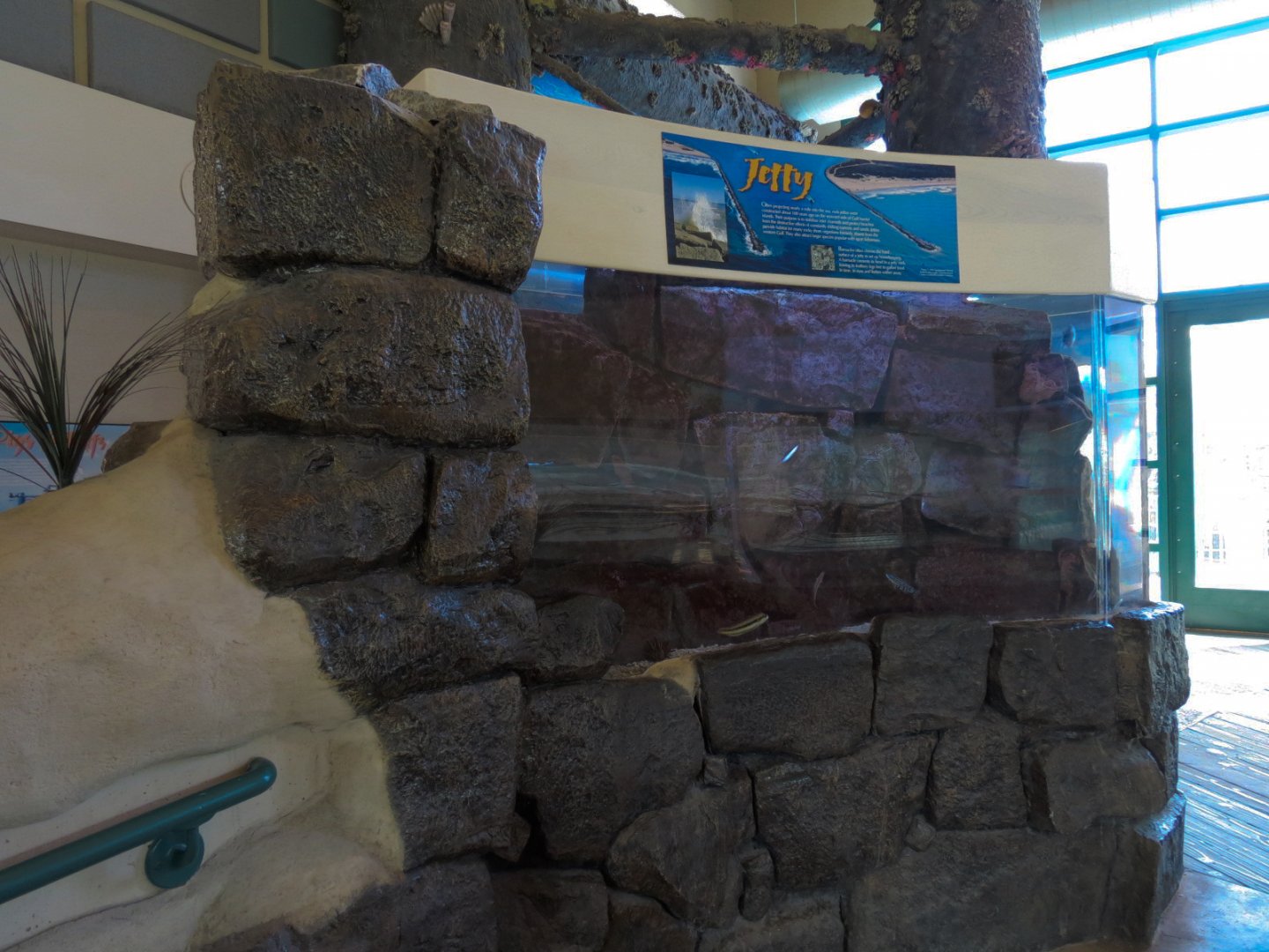 Gulf Coast - Jetty Exhibit