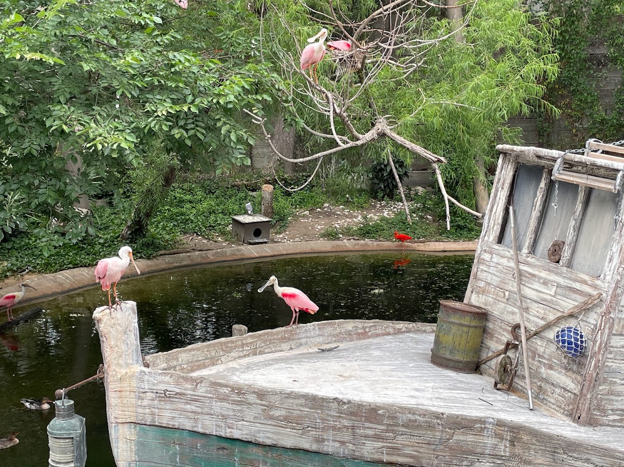 Gulf of Mexico Aviary