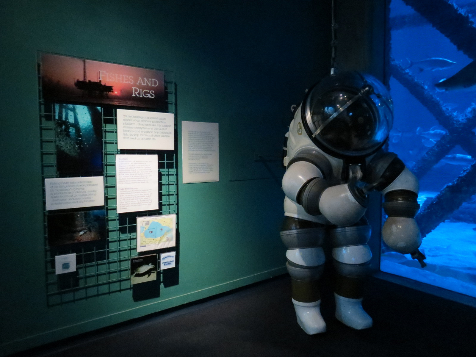 Gulf of Mexico Exhibit