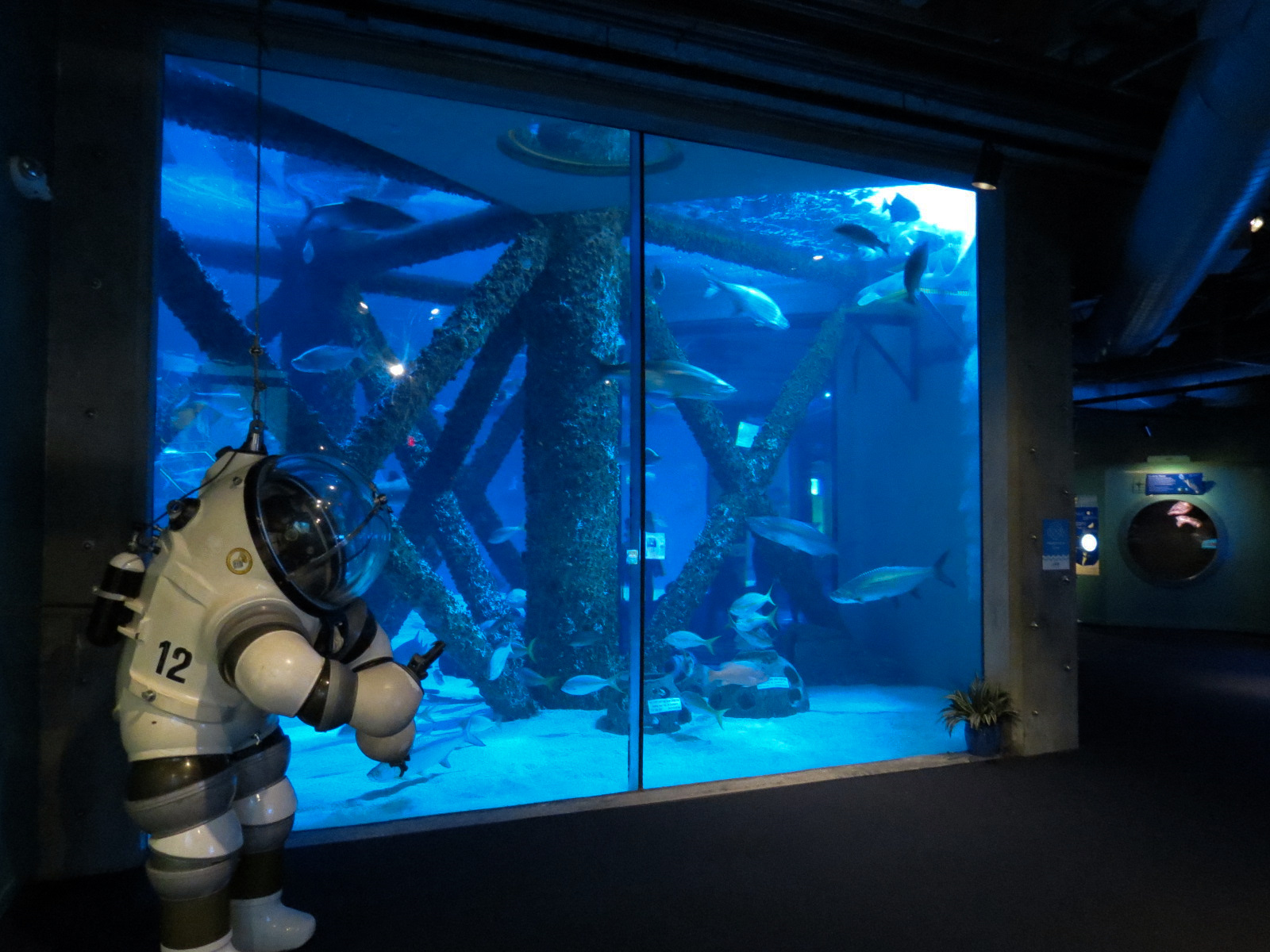 Gulf of Mexico Exhibit