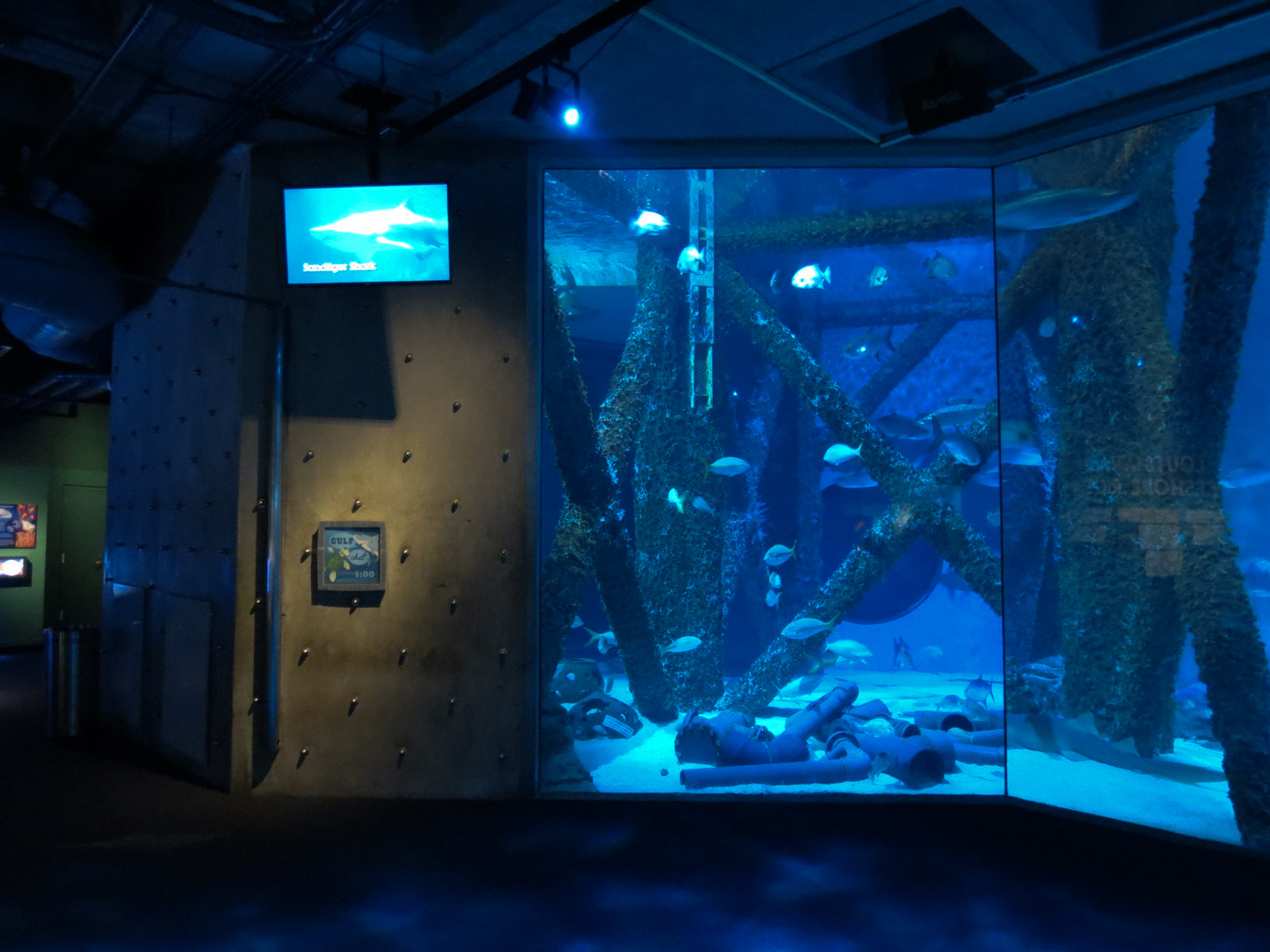 Gulf of Mexico Exhibit