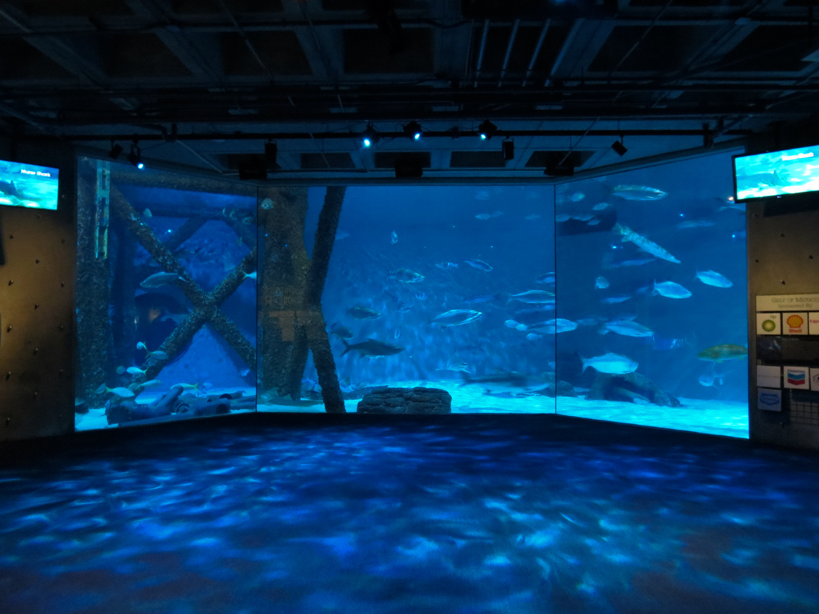 Gulf of Mexico Exhibit