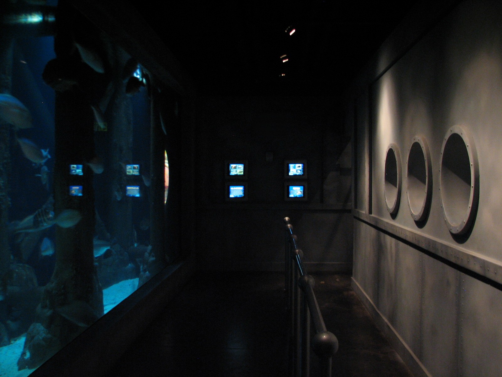 Gulf of Mexico - Interior