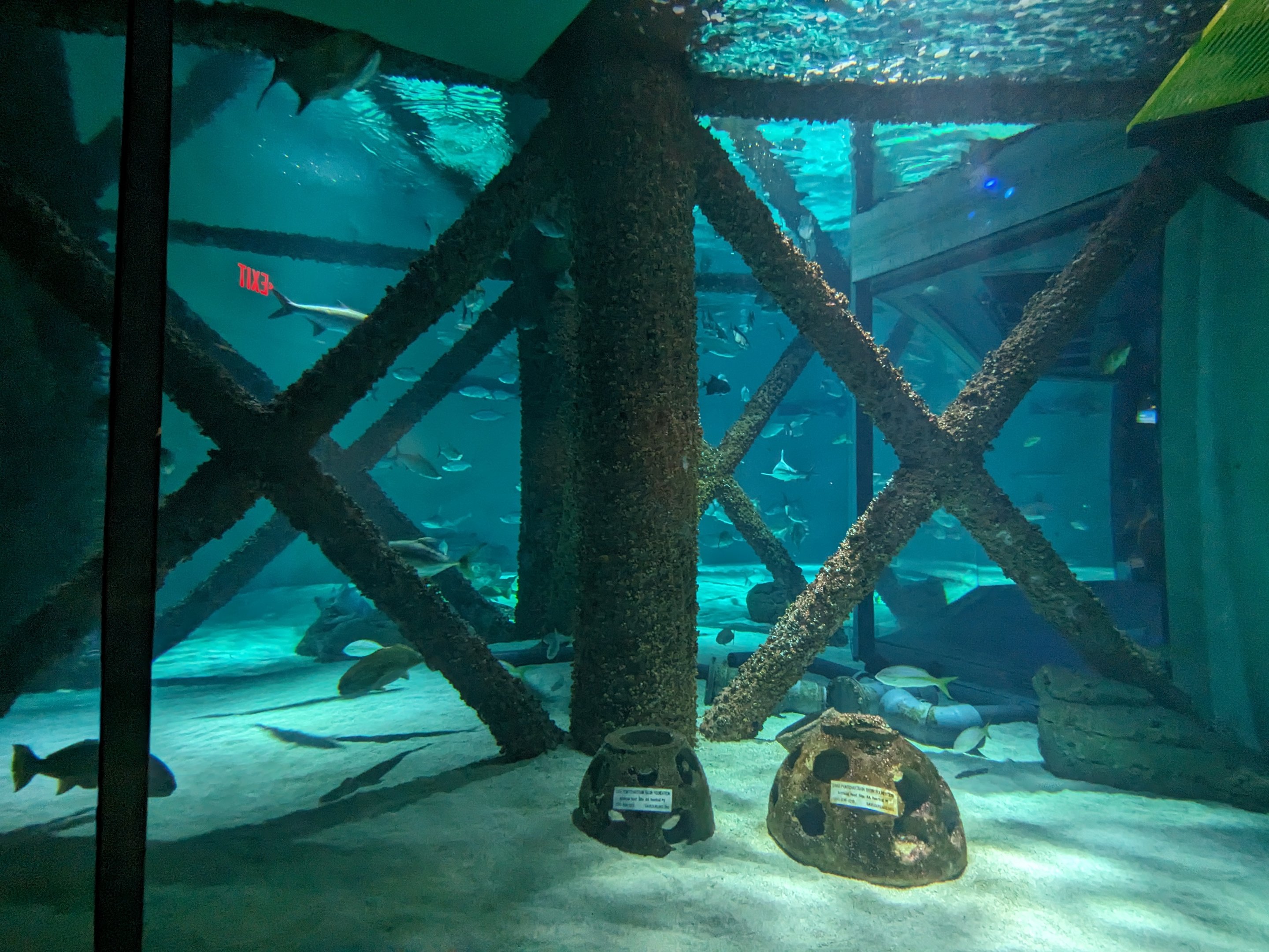 Gulf of Mexico - main tank
