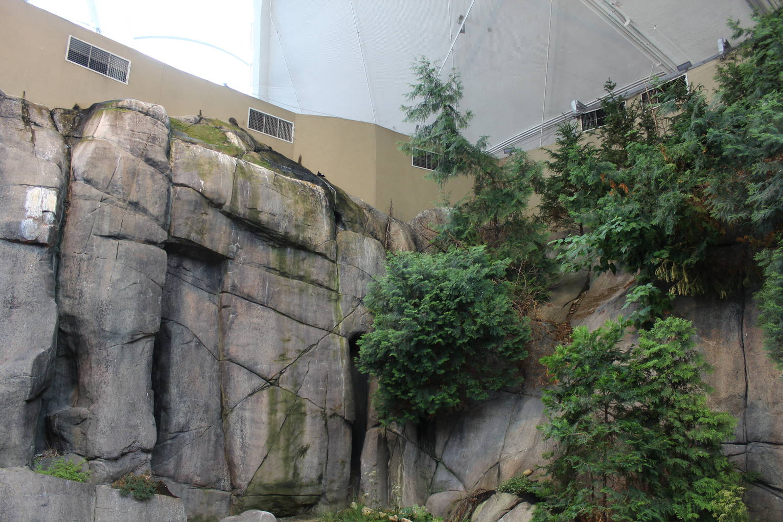 Gulf of St.Lawrence 'On the Surface' Hall - June 2016