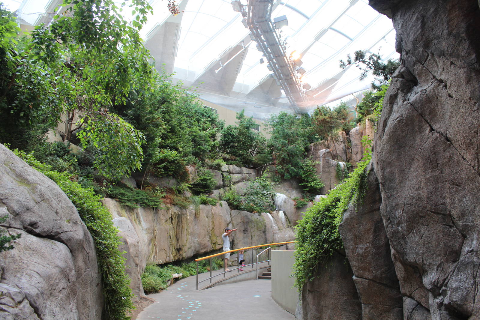 Gulf of St.Lawrence 'On the Surface' Hall - June 2016