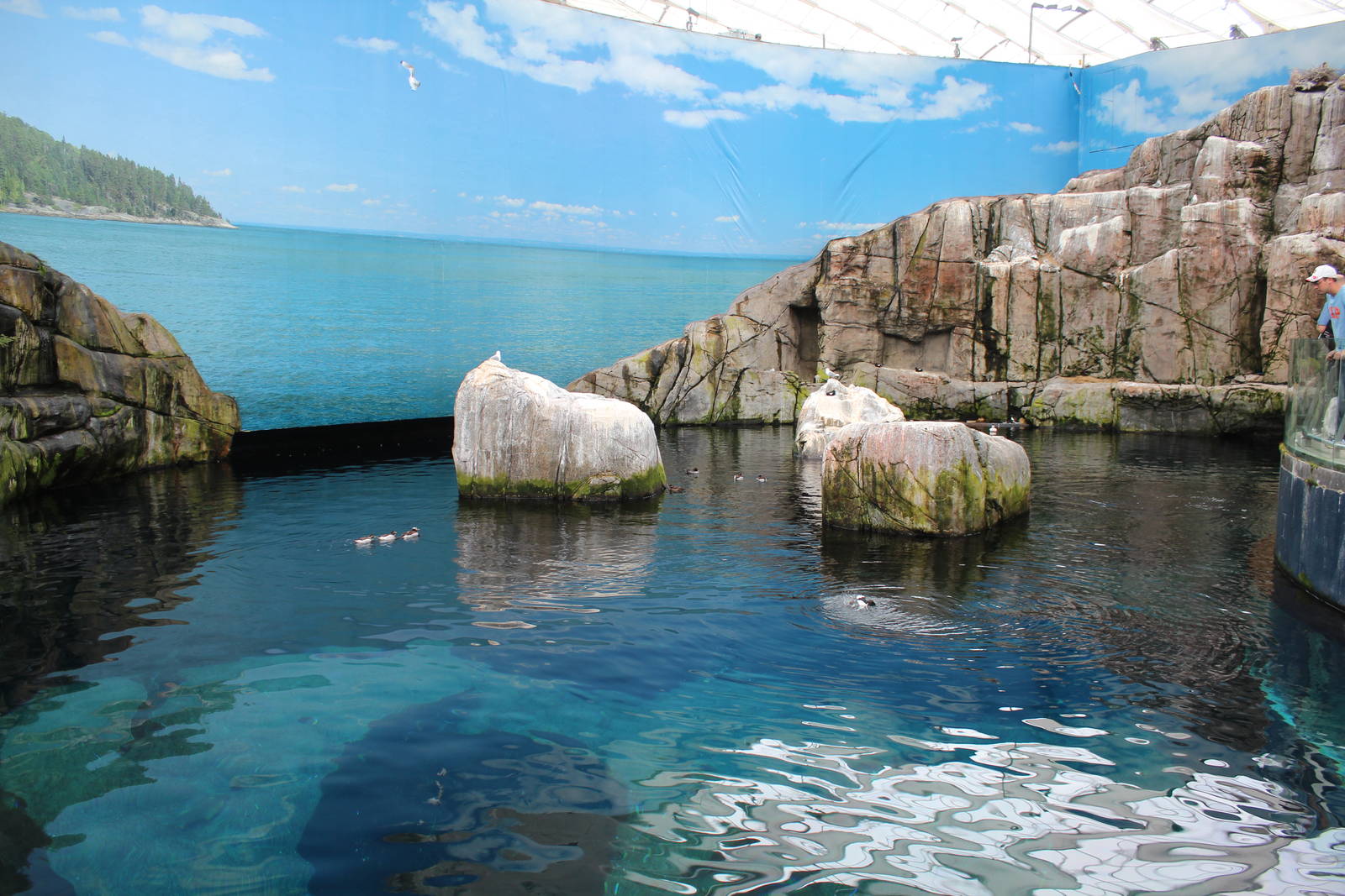 Gulf of St.Lawrence 'On the Surface' Hall - June 2016