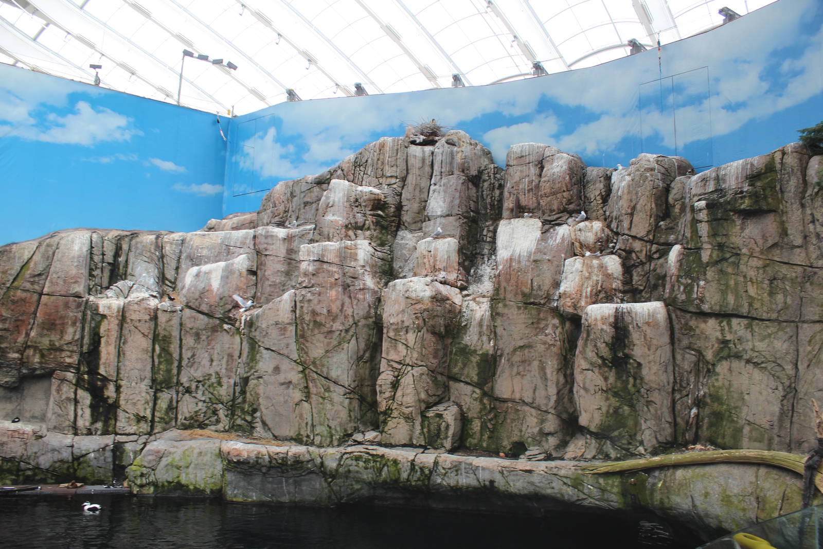 Gulf of St.Lawrence 'On the Surface' Hall - June 2016