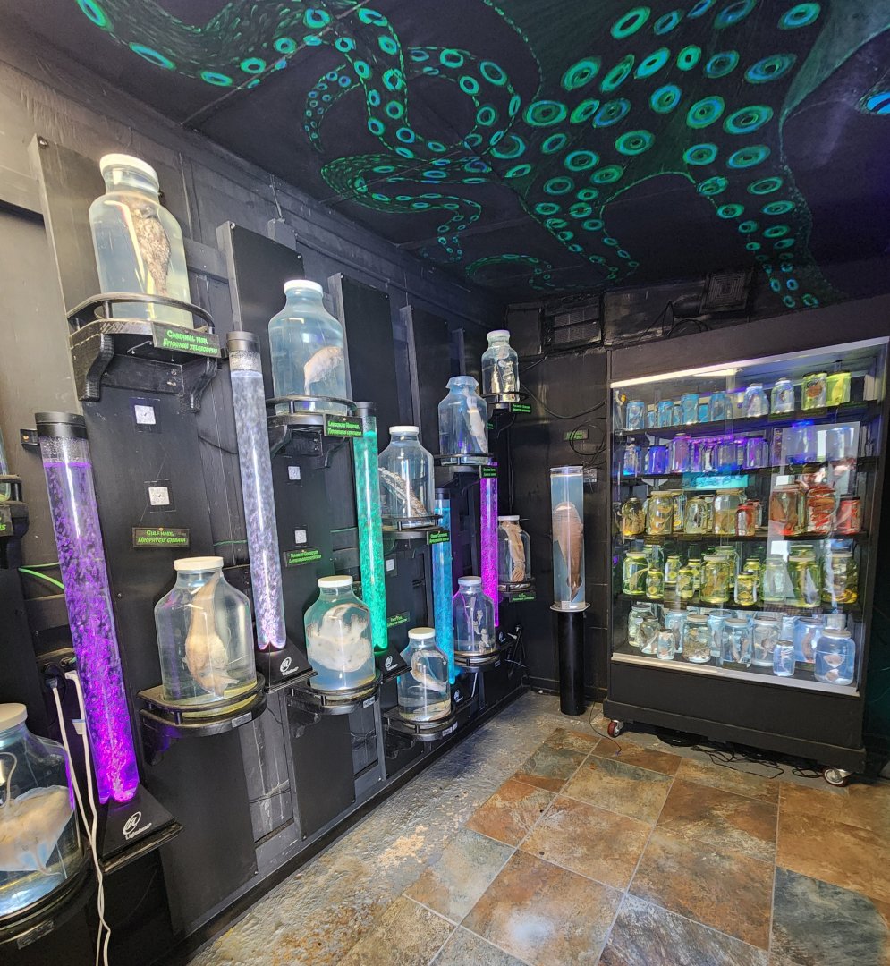 Gulf Specimen Aquarium - The Pickelerium exhibit