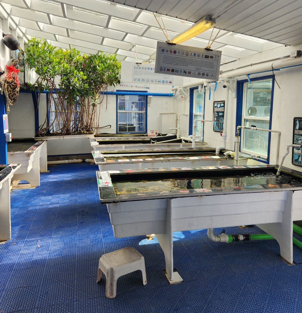Gulf Specimen Aquarium -Touch tanks