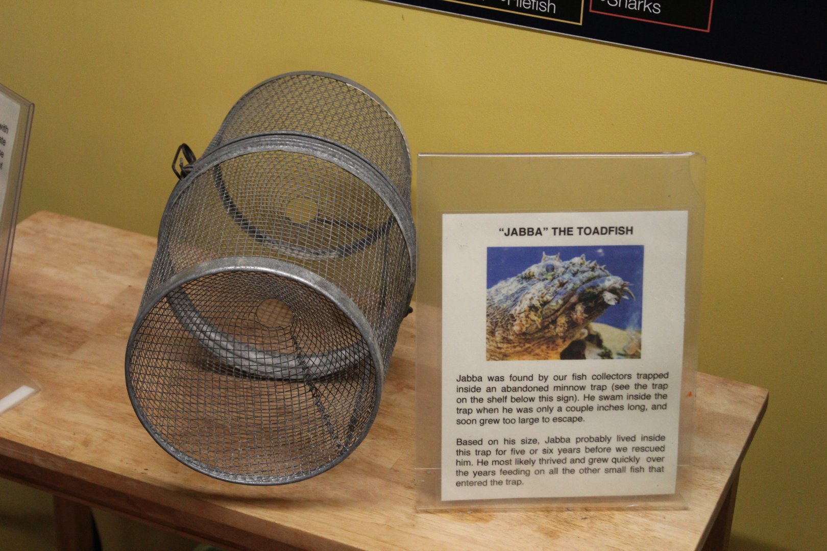 Gulf Toadfish Sign & Former Home