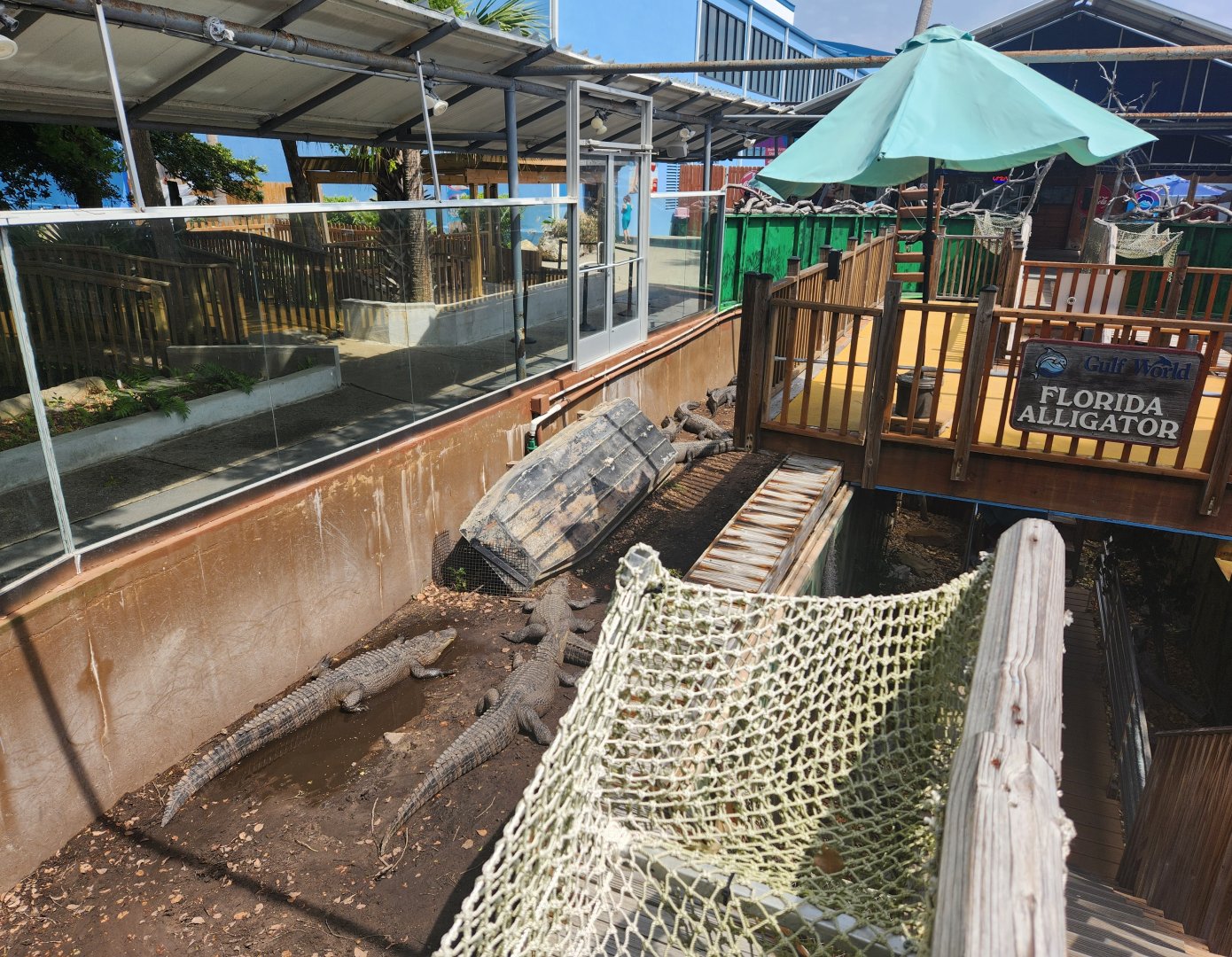 Gulf World - Gator Bayou