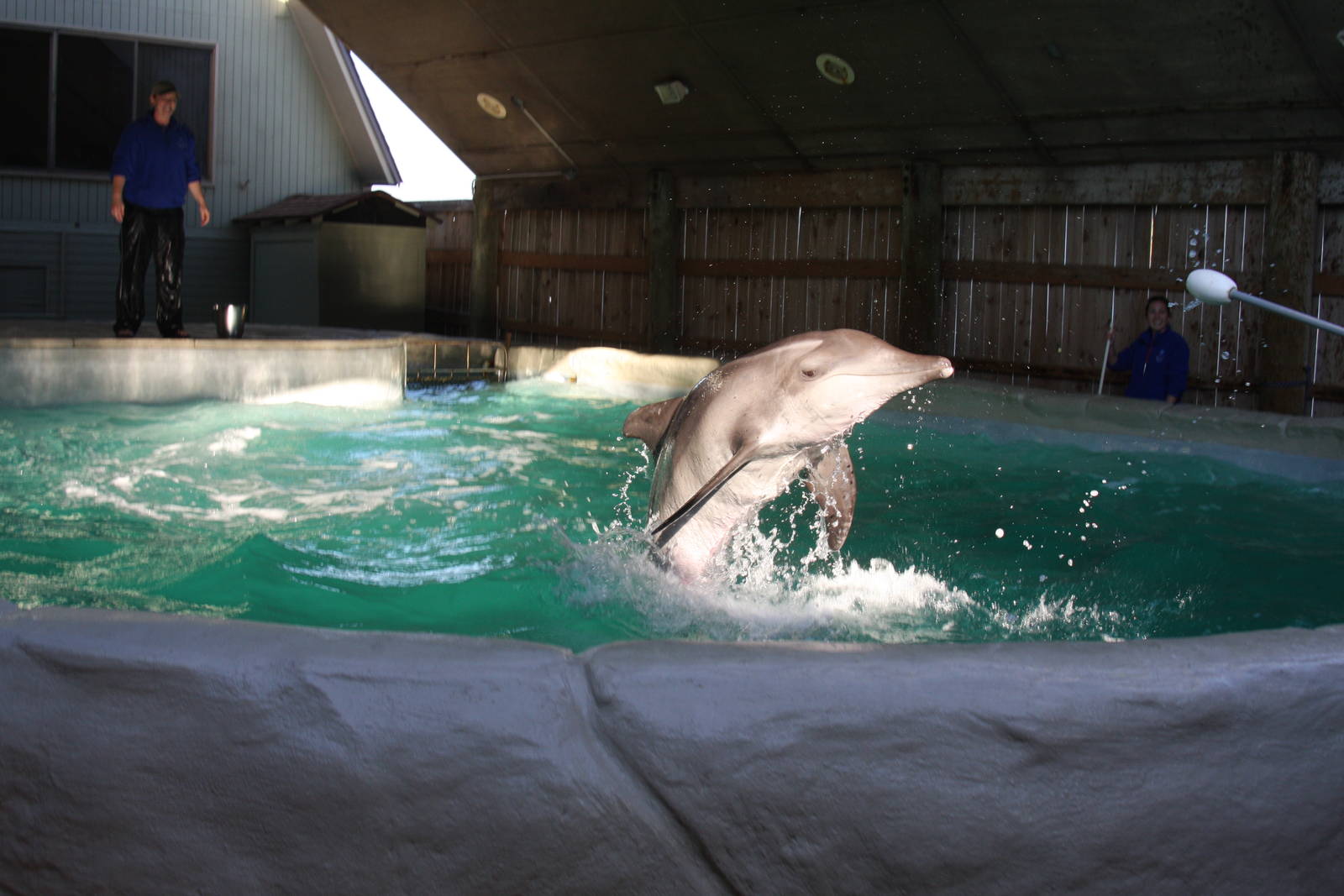 Gulf World Marine Park of Panama City Beach, Florida 2011