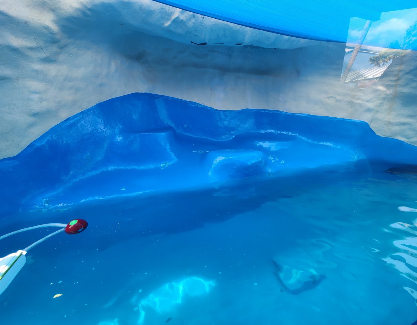 Gulf World - Pinniped presentation pool