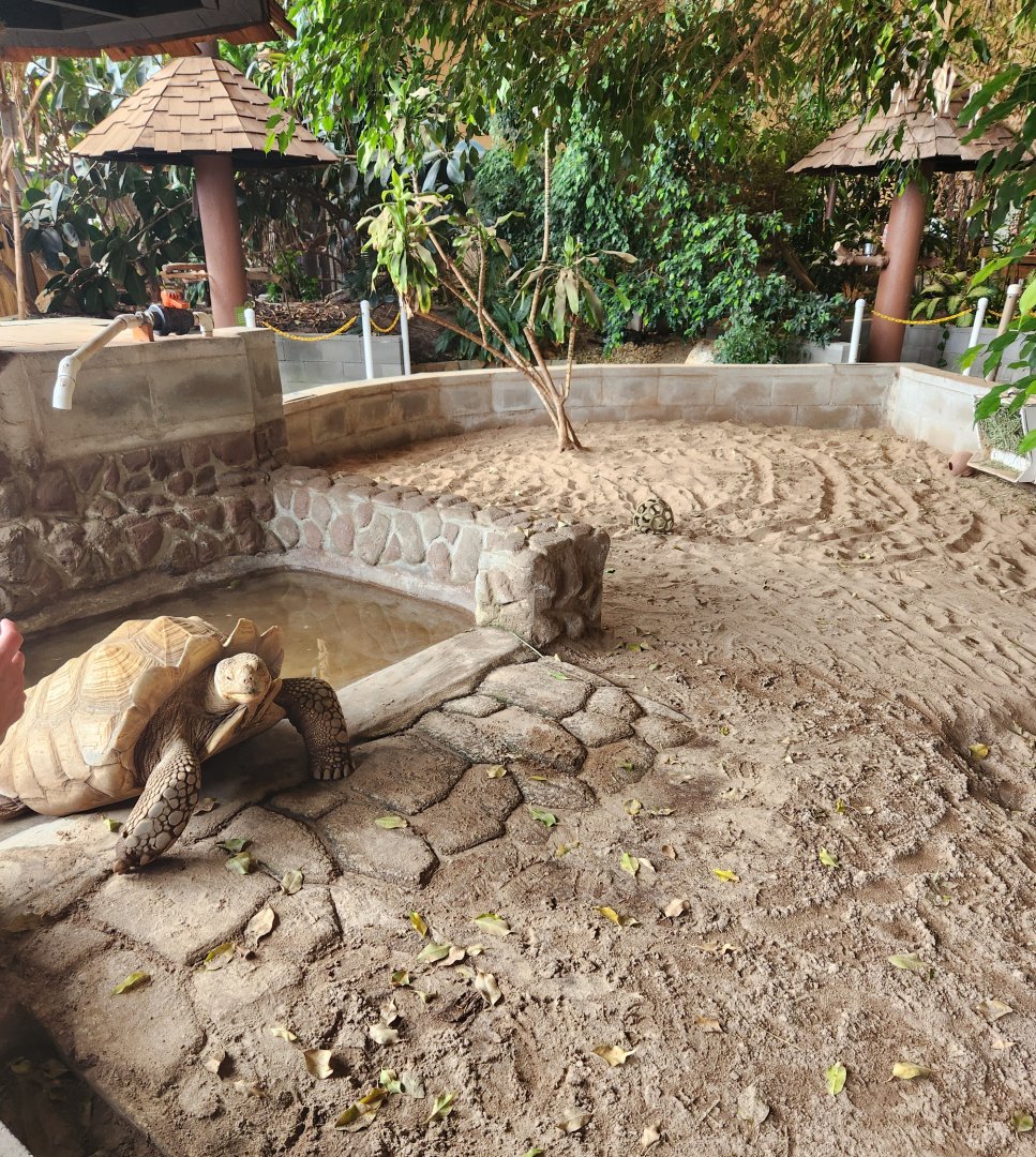 Gulf World - Tortoise enclosure