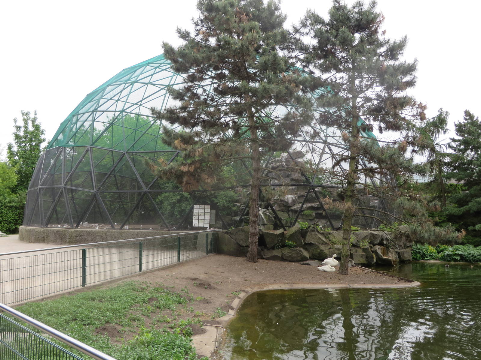 Gull aviary and nordic waterfowl