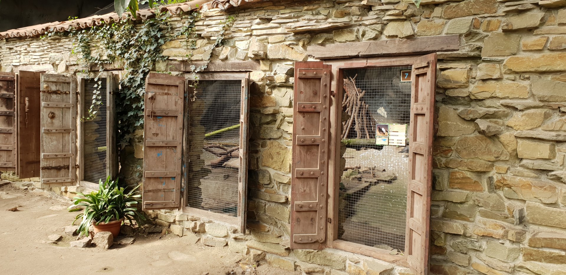 Gull-enclosure Bamboo Hall