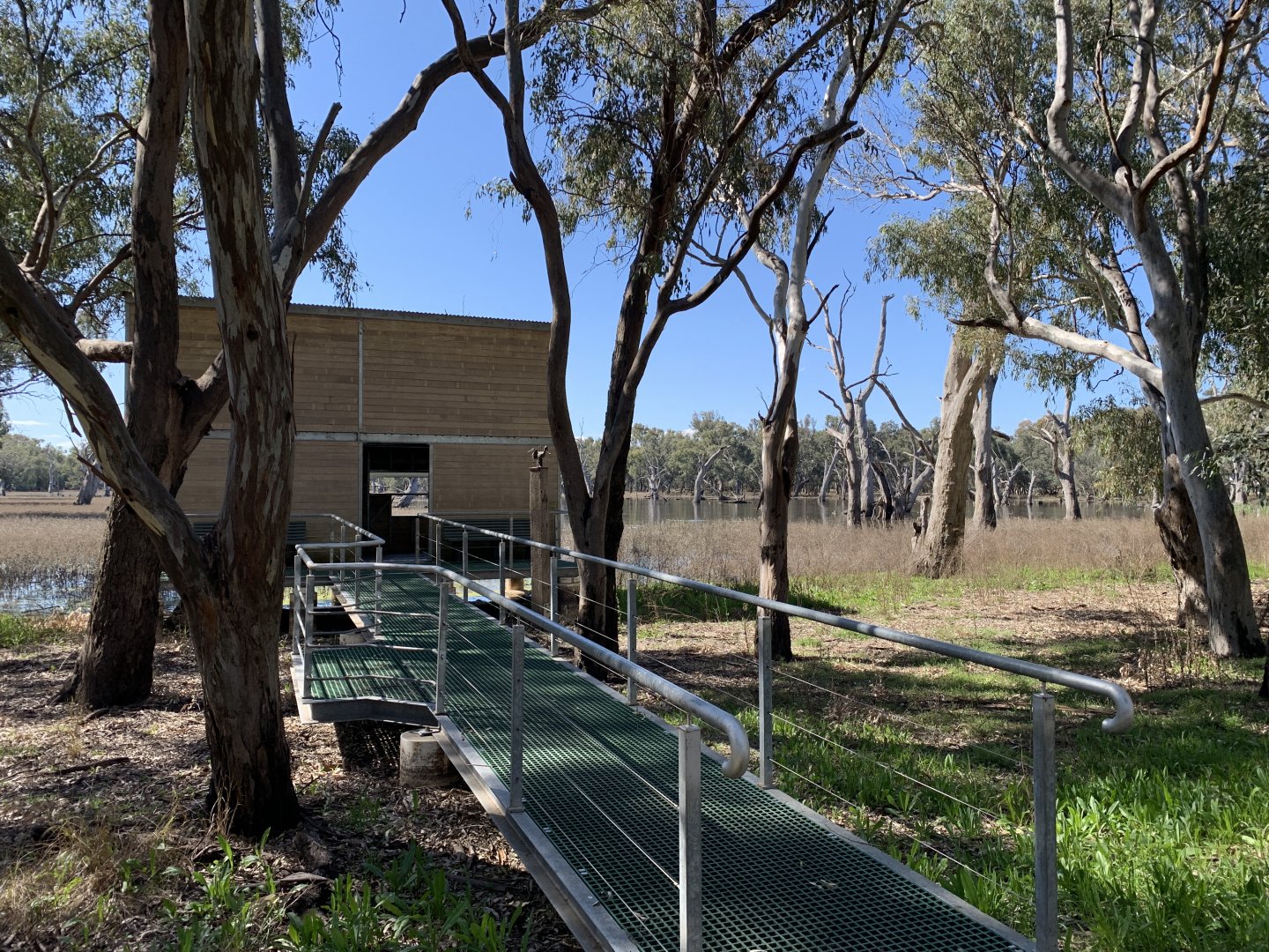 Gum Swamp - Avocet & Stilt Hide