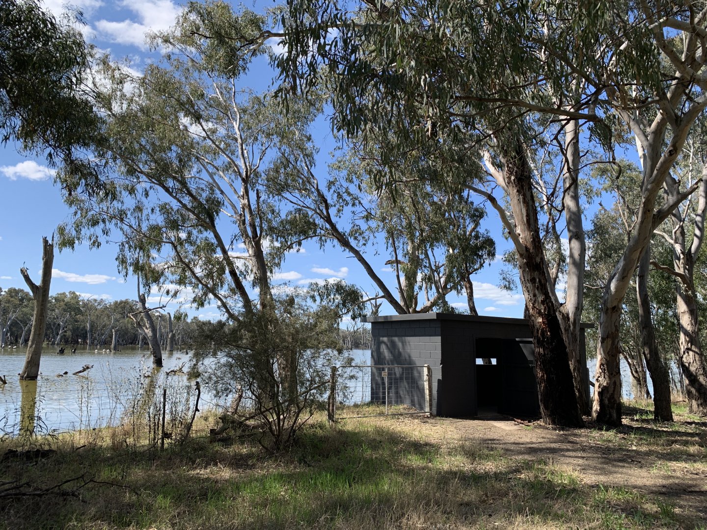 Gum Swamp - Sea Eagle Hide