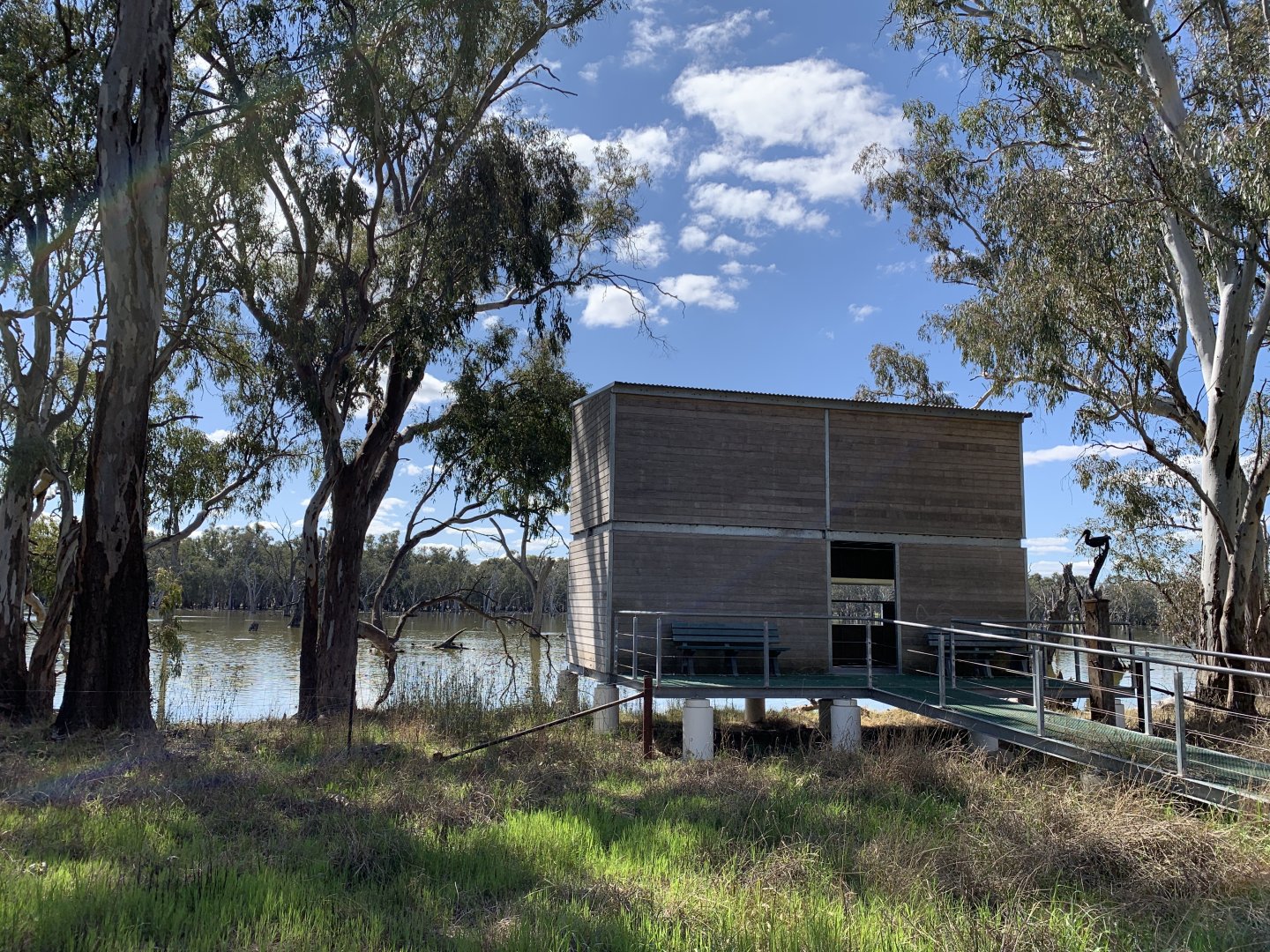Gum Swamp - Spoonbill Hide