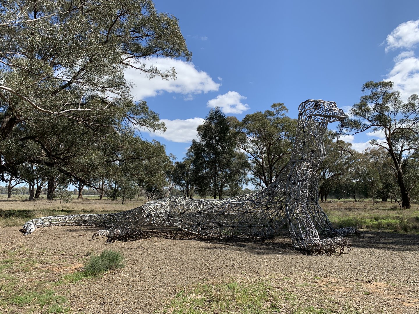 Gum Swamp - Varanus Sculpture