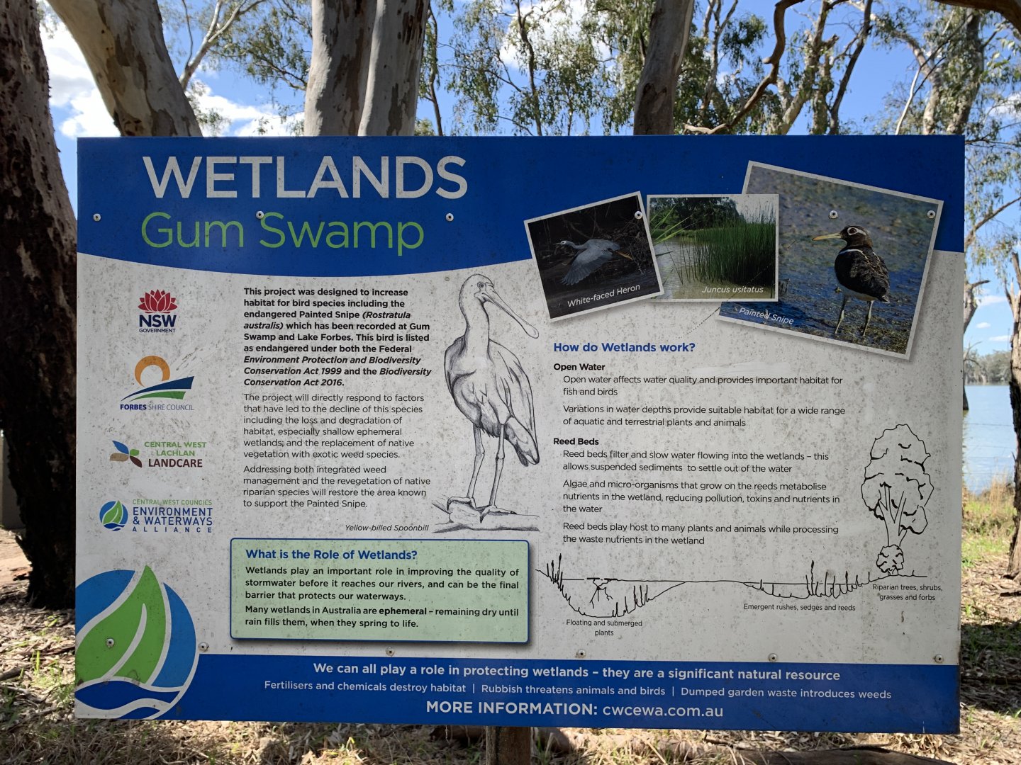 Gum Swamp Wetlands Signage