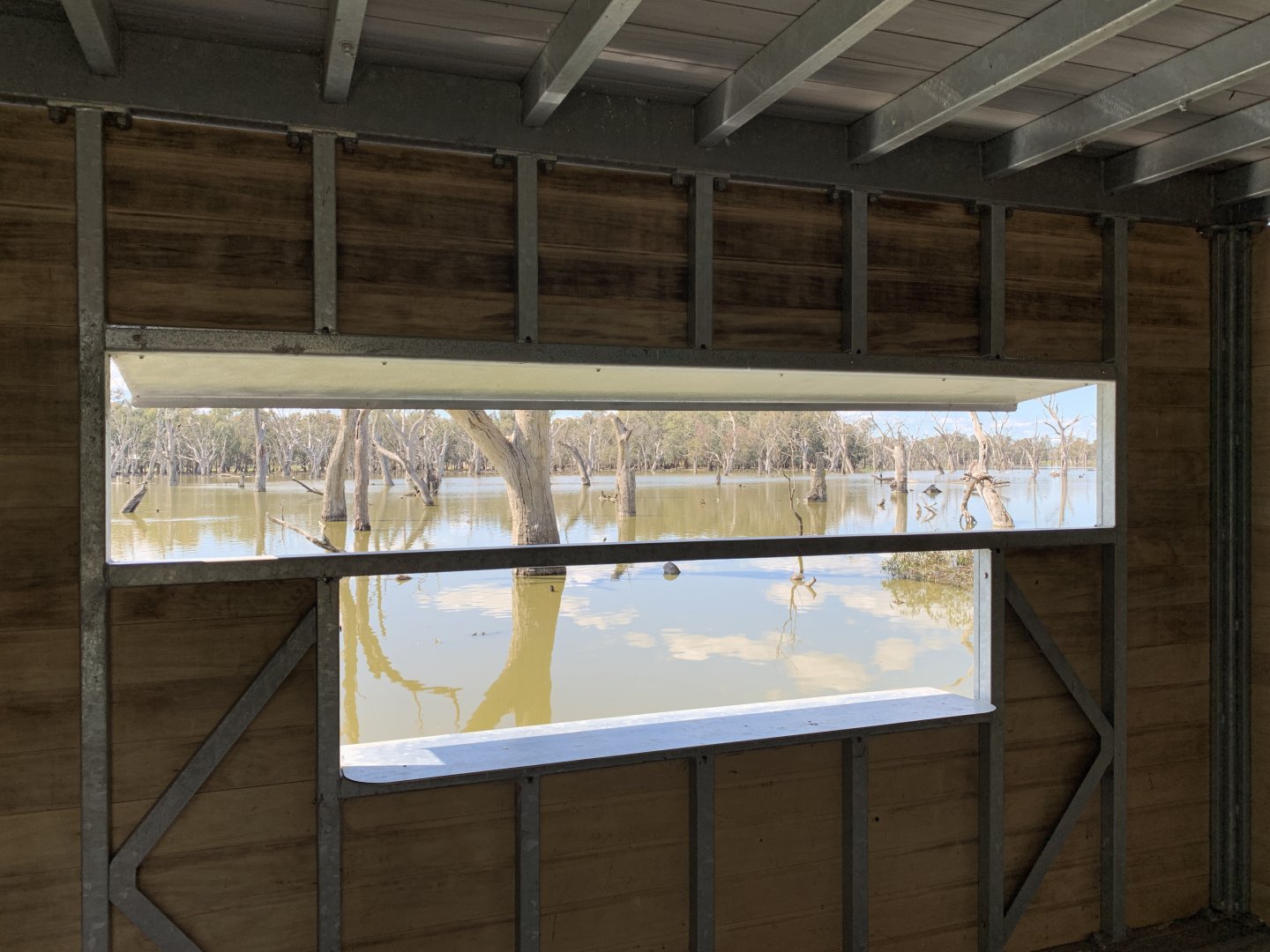 Gum Swamp - Wood Duck Hide Viewing Window