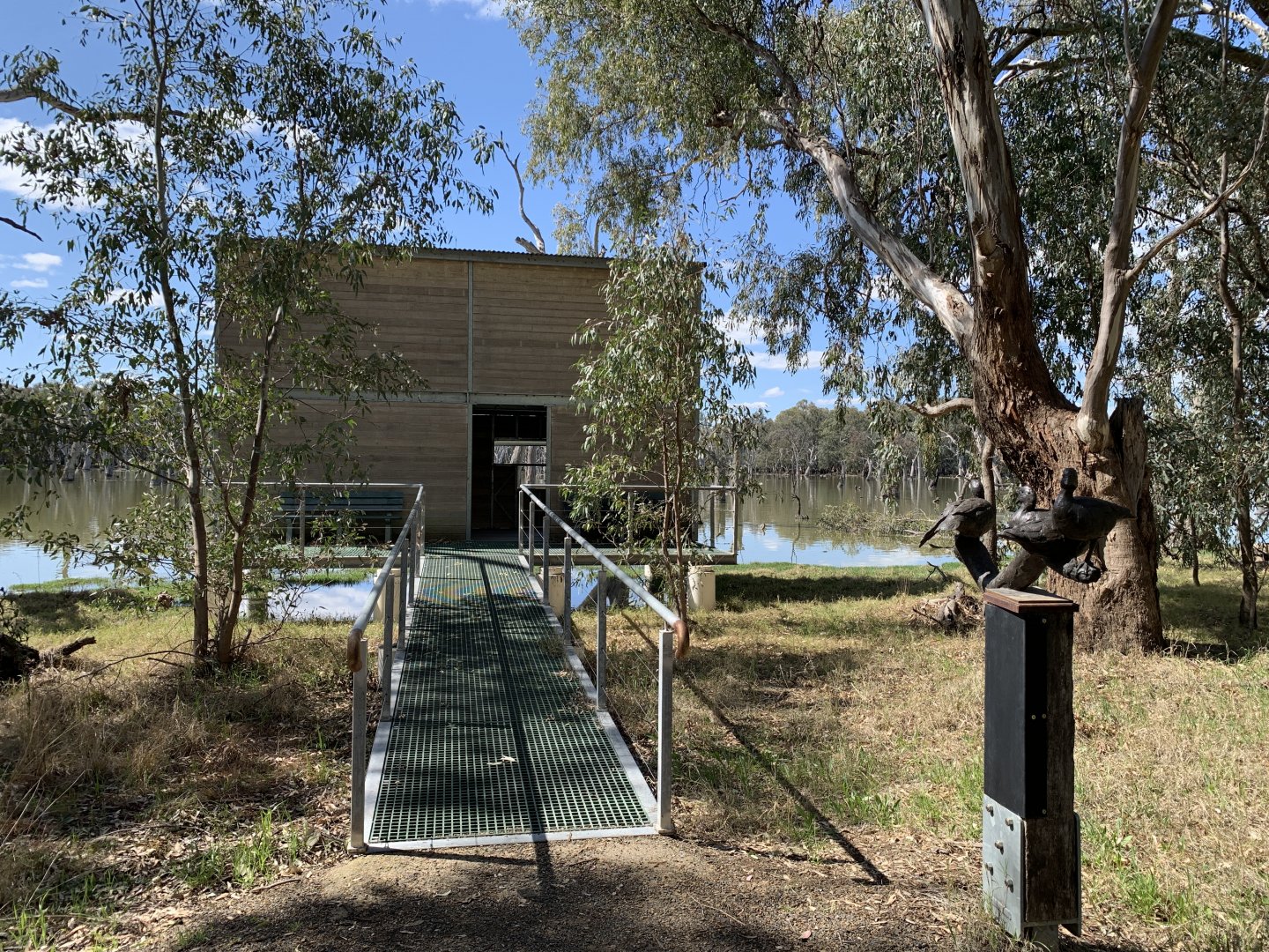 Gum Swamp - Wood Duck Hide