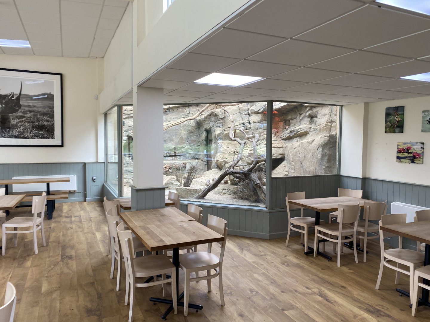 Gundi exhibit 280222