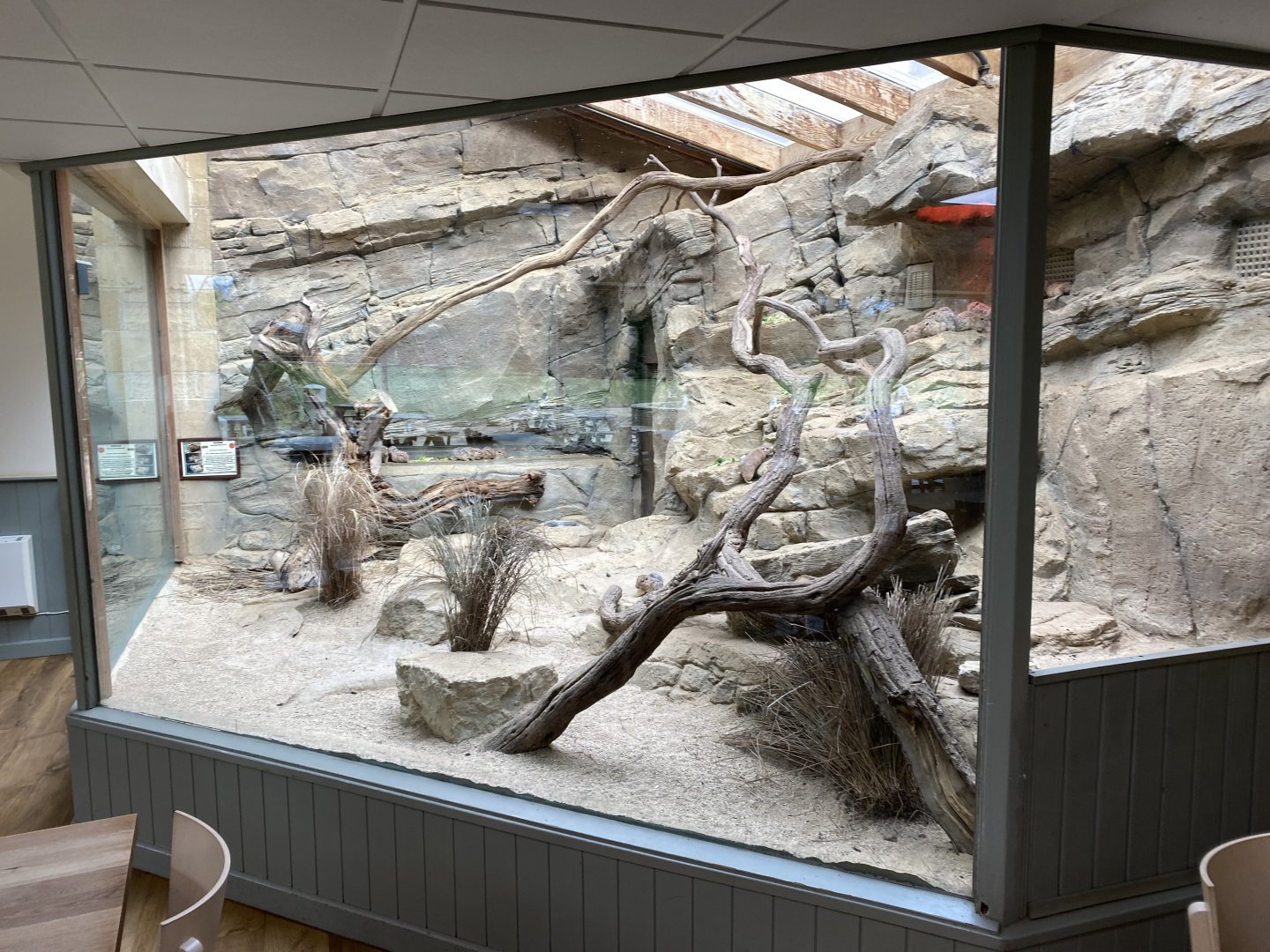 Gundi exhibit 280222