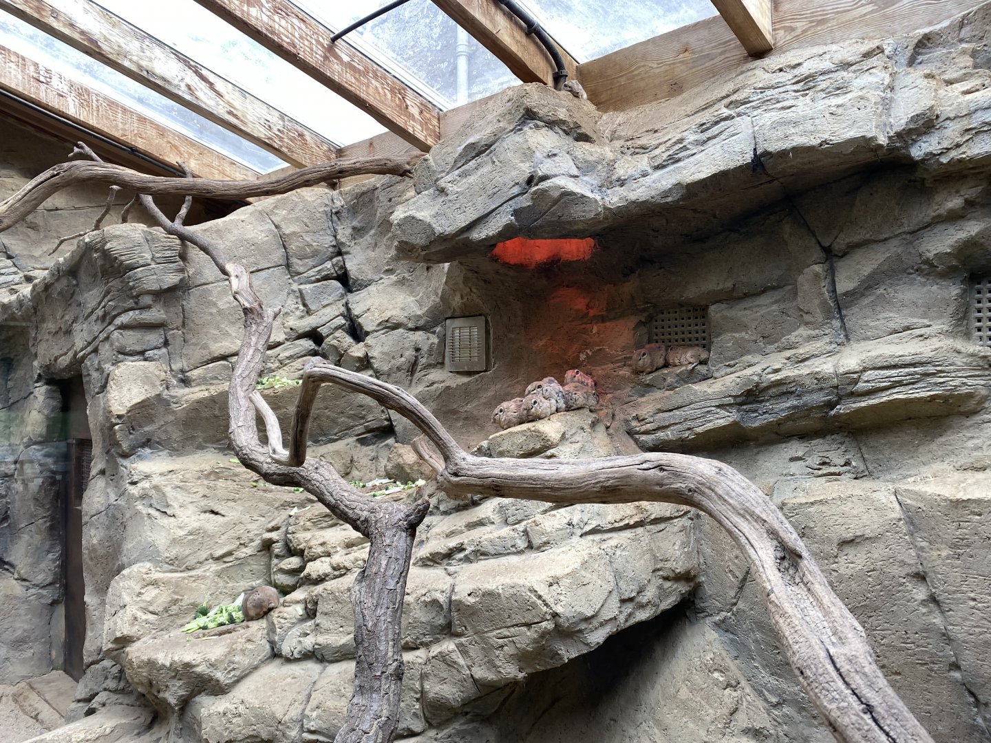 Gundi exhibit 280222