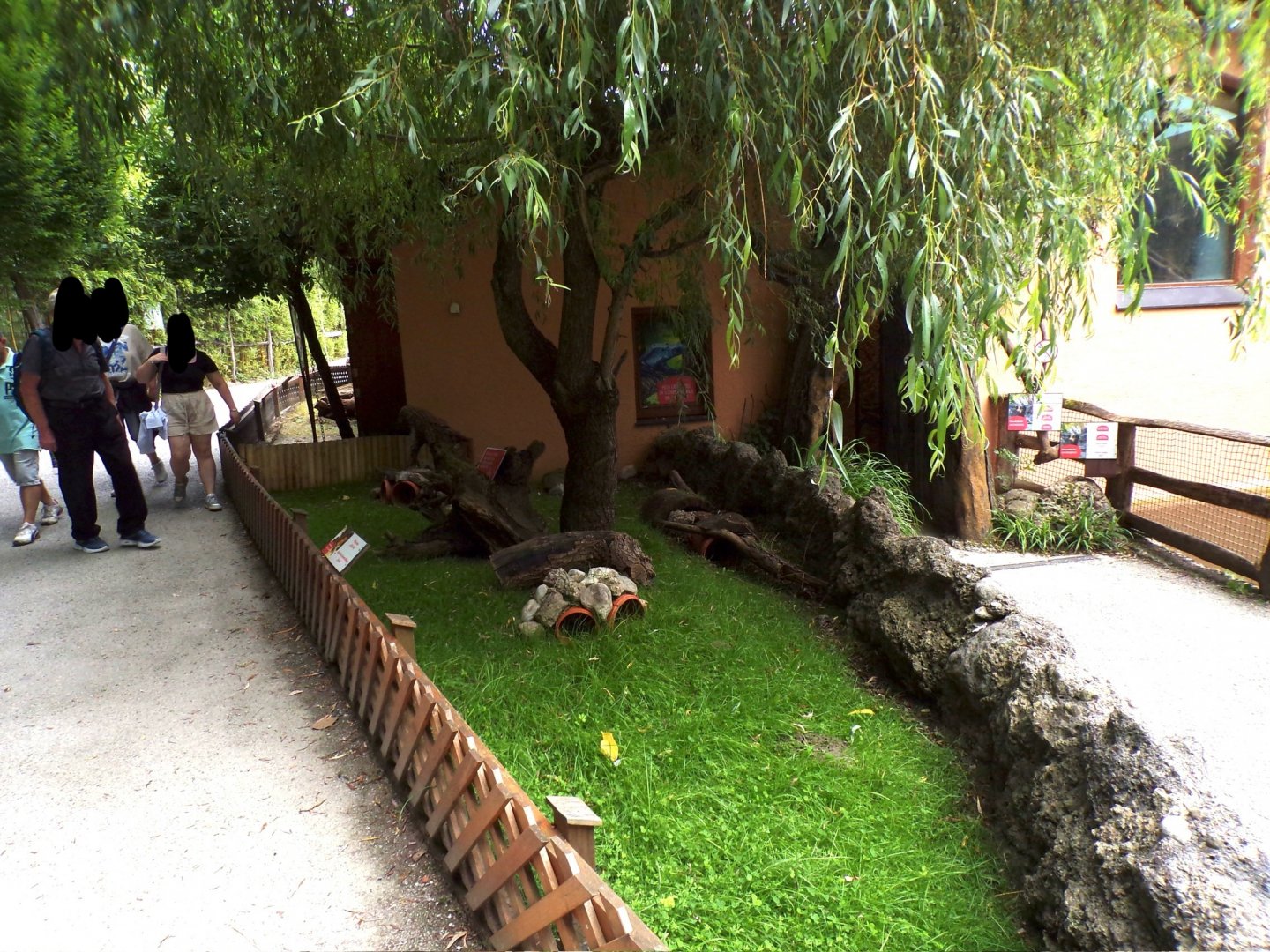 Guniea pig enclosure 13.7.25