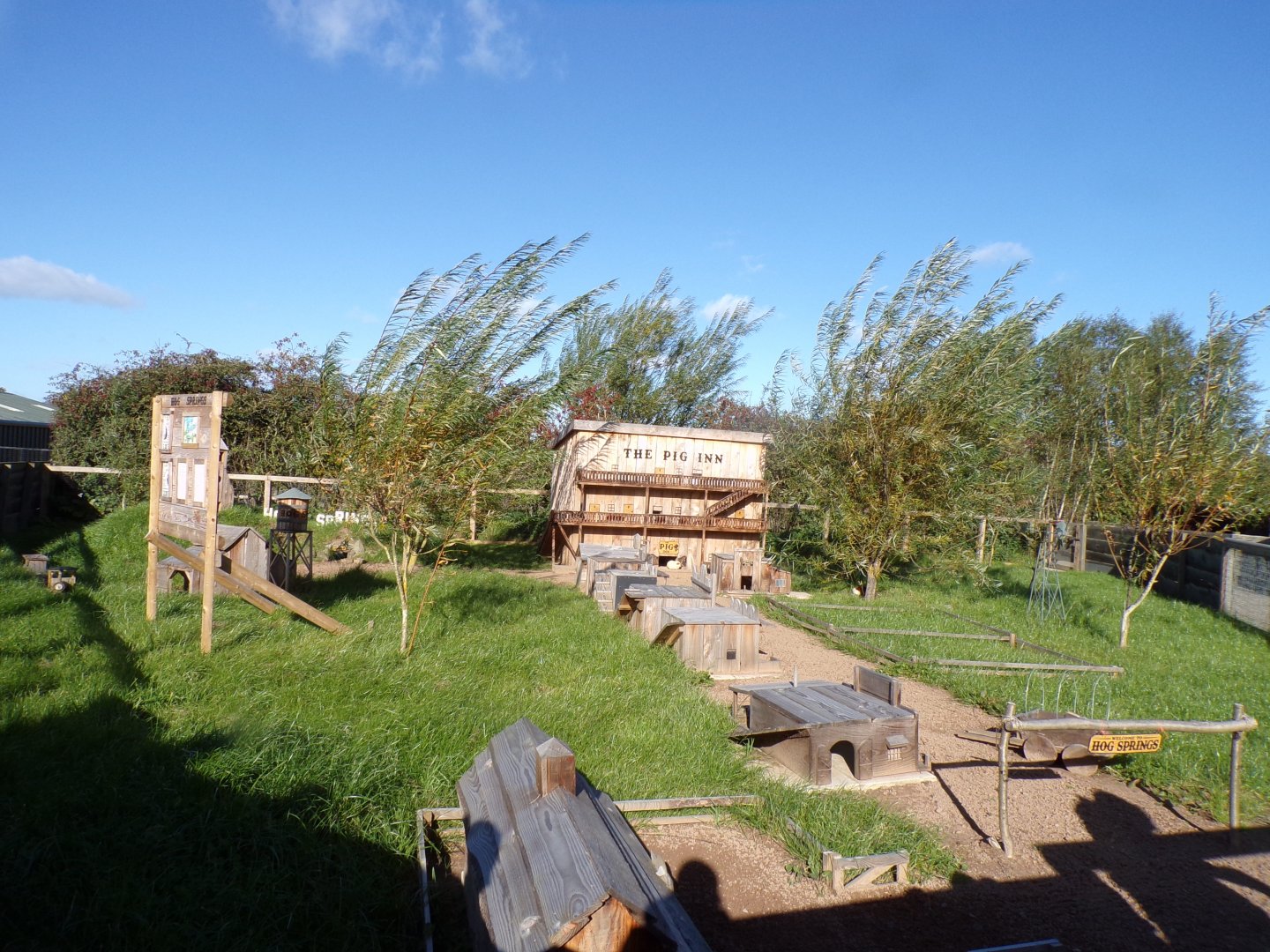 Guniea pig enclosure- western American themed 14.10.23