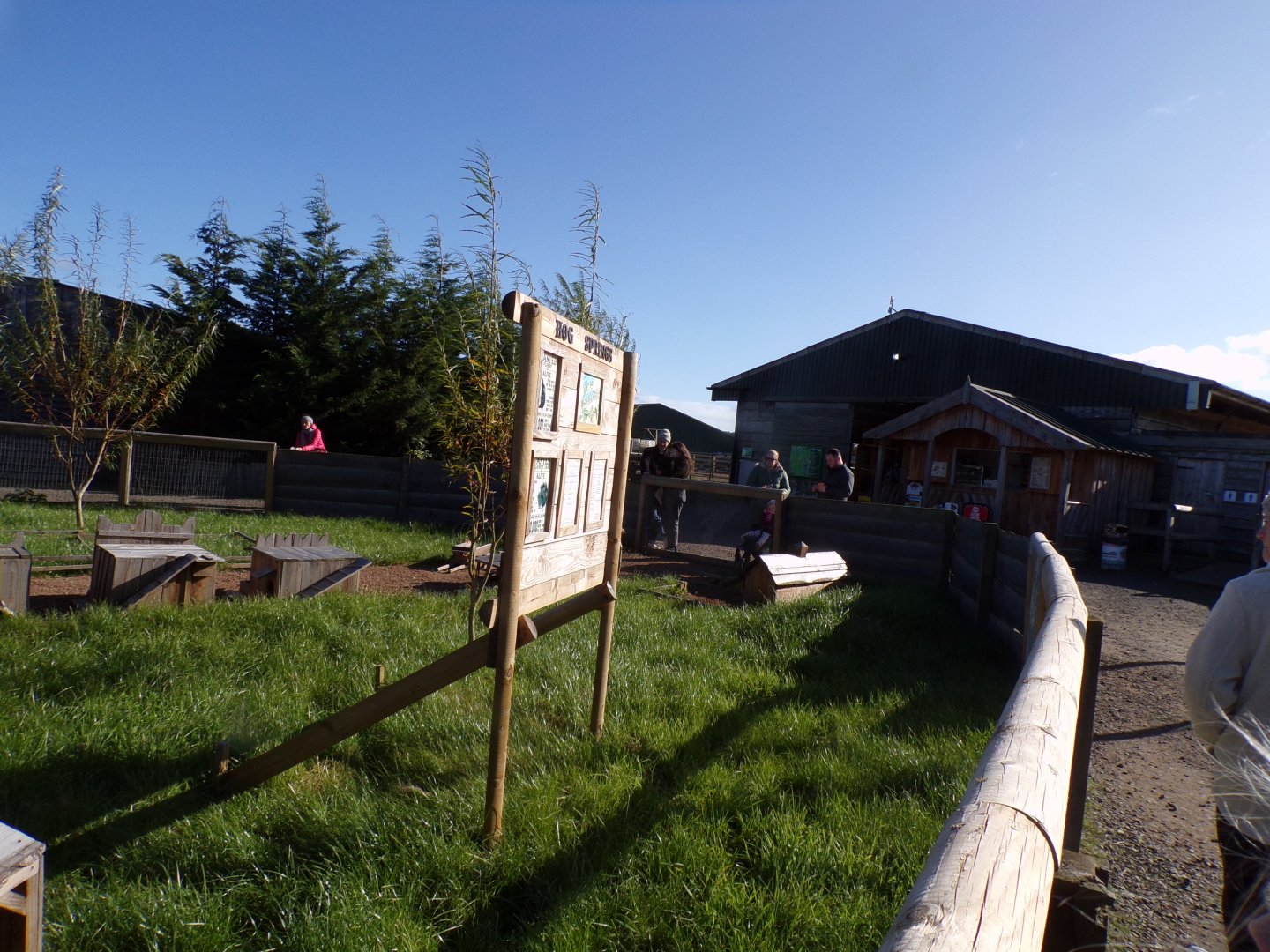 Guniea pig enclosure- Western American themed 14.10.23