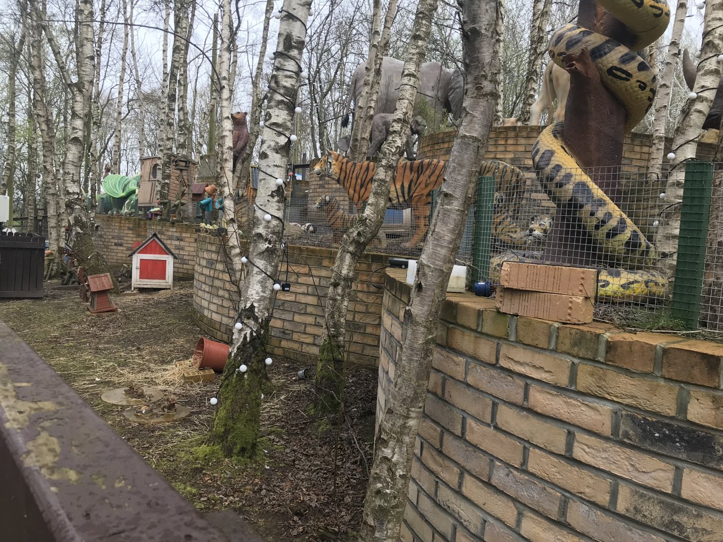 Guniea pig/rabbit enclosures