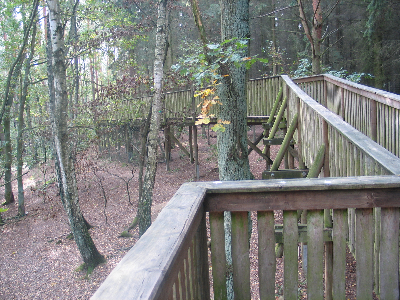 Gustrow, NUP / October 2005