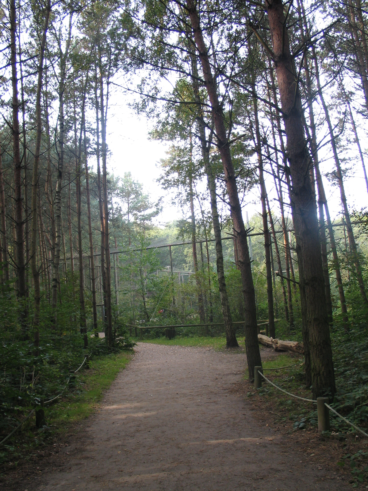 Gustrow, NUP / October 2005